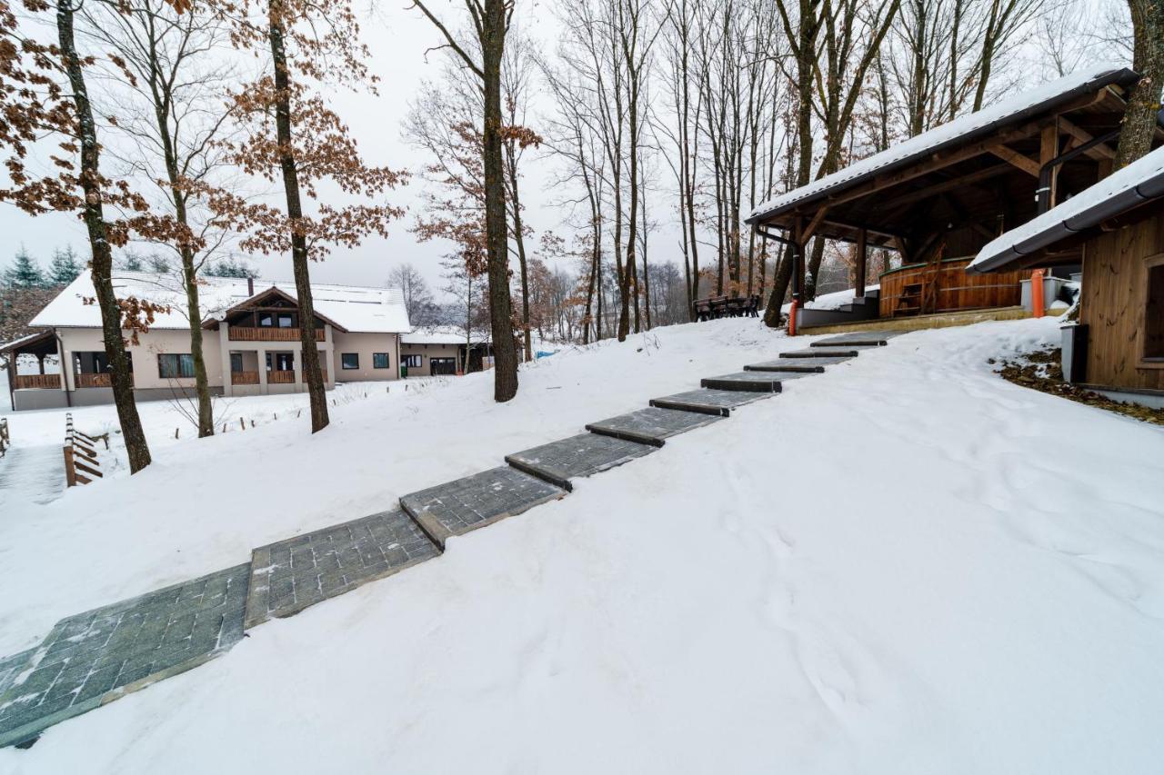 Transylvanian Relax House Lupeni  Exteriör bild